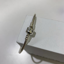 Load image into Gallery viewer, Pandora bracelet