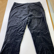 Load image into Gallery viewer, Anthropologie velour pants 10