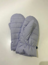 Load image into Gallery viewer, Artic Expedition quilted mittens NWT S/M