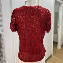 Load image into Gallery viewer, DKNY sequin top M