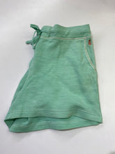 Load image into Gallery viewer, Tommy Bahama shorts L