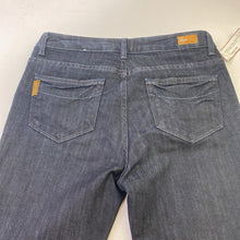 Load image into Gallery viewer, Paige Rising Glen jeans 29