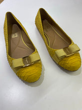 Load image into Gallery viewer, Salvatore Ferragamo embossed shoes 9.5