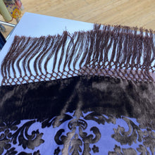 Load image into Gallery viewer, Echo silk/velour scarf