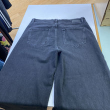 Load image into Gallery viewer, RAILS The Angeleno Ultra Wide Leg jeans 31