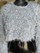 Load image into Gallery viewer, Zara Top Long Sleeve S