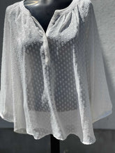 Load image into Gallery viewer, Banana Republic (outlet) Top Long Sleeve Sheer NWT L(Petite)