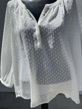 Load image into Gallery viewer, Banana Republic (outlet) Top Long Sleeve Sheer NWT L(Petite)