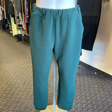 Load image into Gallery viewer, Blue Blush jogger style pants M