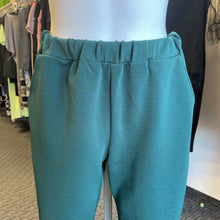 Load image into Gallery viewer, Blue Blush jogger style pants M
