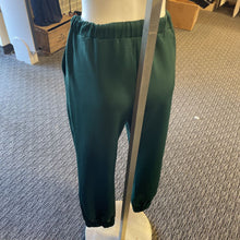 Load image into Gallery viewer, Blue Blush jogger style pants M