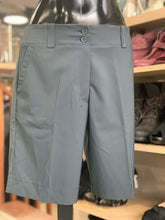 Load image into Gallery viewer, Nike Golf Shorts 4
