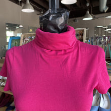 Load image into Gallery viewer, Theory turtleneck top L