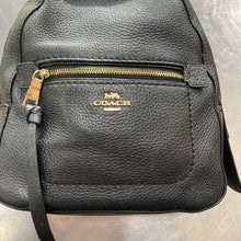 Load image into Gallery viewer, Coach Backpack
