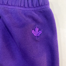 Load image into Gallery viewer, Roots x OVO Sweatpants M