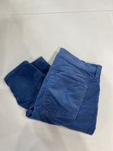 Load image into Gallery viewer, J Crew (outlet) cords 28P