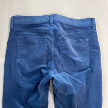 Load image into Gallery viewer, J Crew (outlet) cords 28P