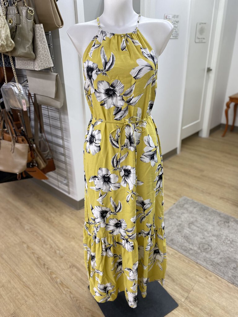 Banana Republic floral maxi dress 0