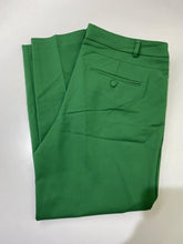 Load image into Gallery viewer, RW&amp;CO ankle pants NWT 12
