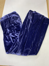 Load image into Gallery viewer, Anthropologie crushed velvet wide leg pants 10
