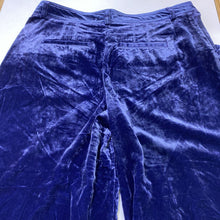 Load image into Gallery viewer, Anthropologie crushed velvet wide leg pants 10
