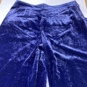 Anthropologie crushed velvet wide leg pants 10