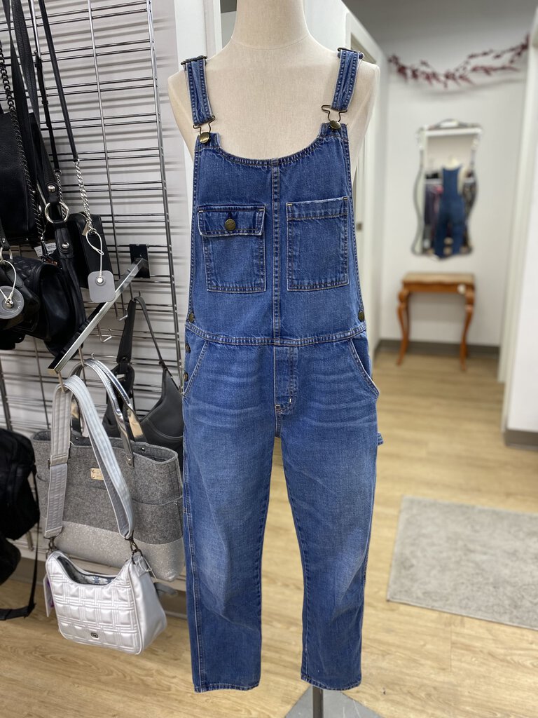 Current Elliot denim jumpsuit 1