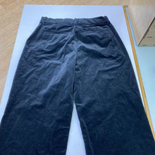 Load image into Gallery viewer, Gap Velour pants 10
