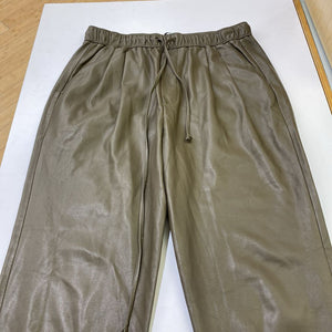 Zara pleather pants S