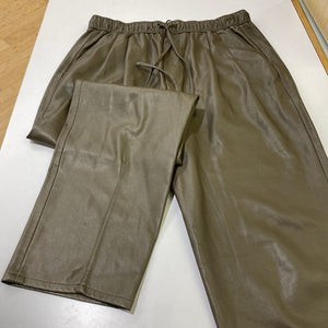 Zara pleather pants S