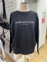 Load image into Gallery viewer, Replay Sweater S
