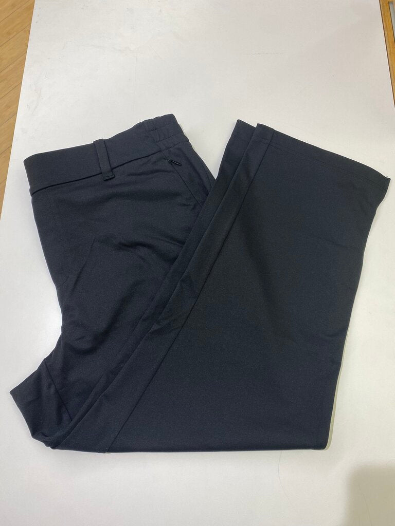 Lands End pull on pants L(14-16)
