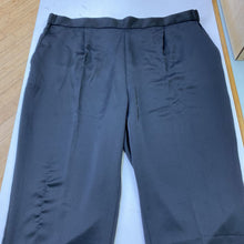Load image into Gallery viewer, Banana Republic satin pull on pants NWT XL
