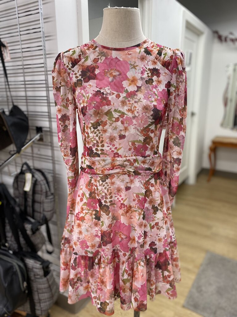 Ted Baker mesh dress 2