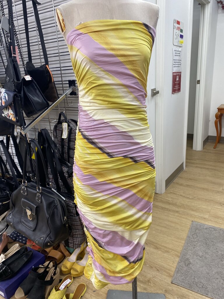 Dynamite ruched tube dress NWT M