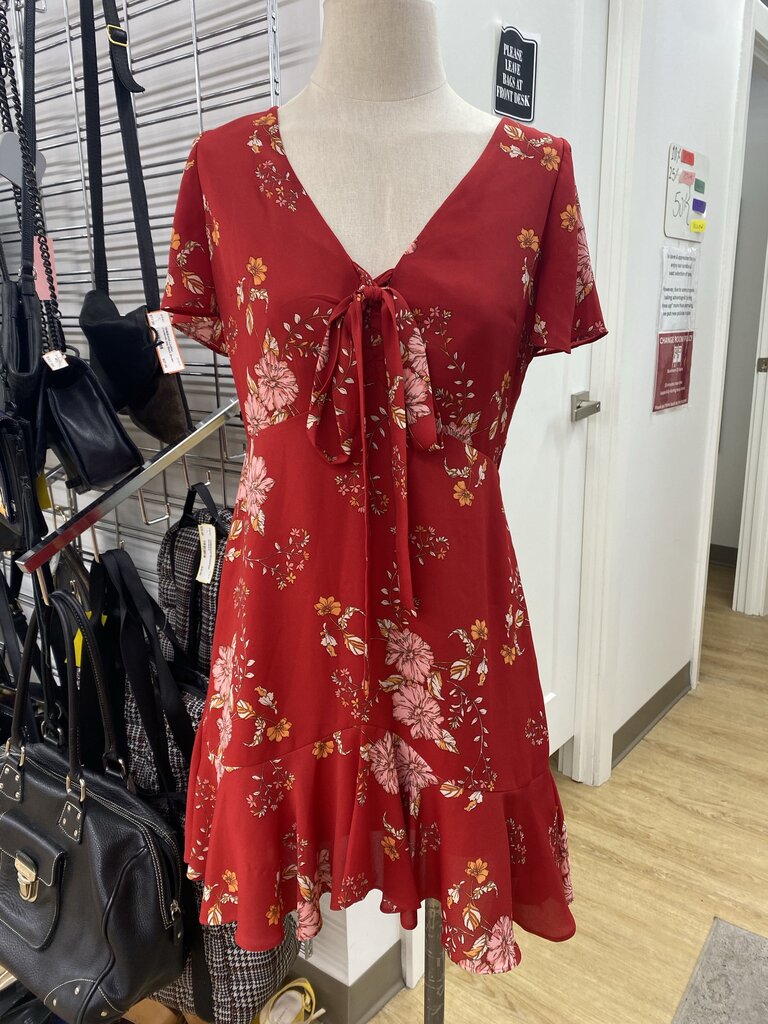 BB Dakota floral dress 4