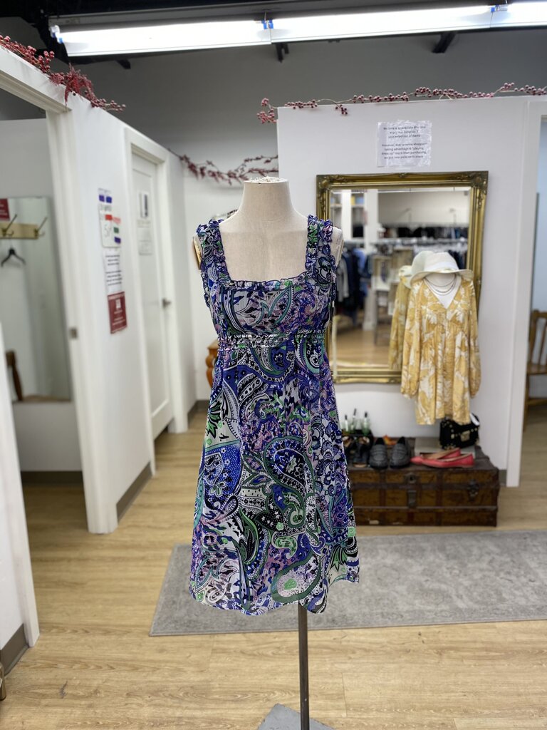 Lapis paisley dress NWT M