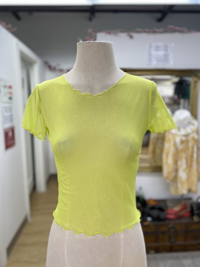 Urban Outfitters sheer mesh top M