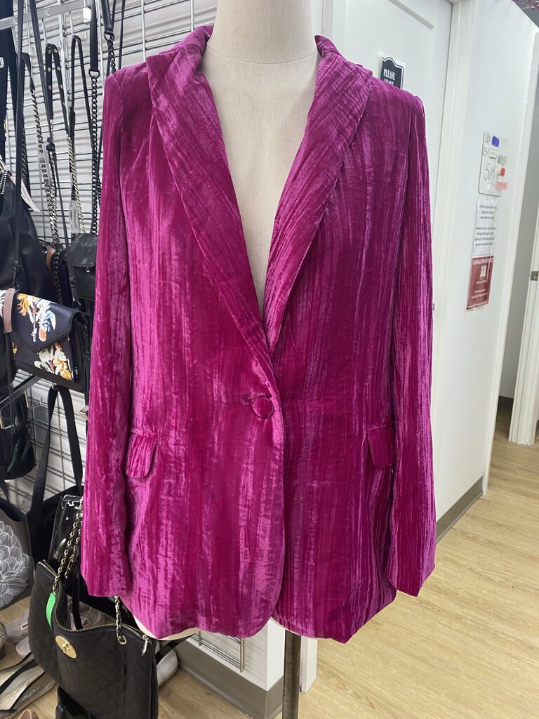 Nasty Gal crushed velvet blazer 2