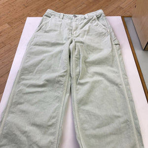 TNA carpenter pants 6