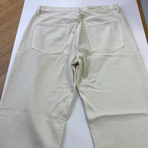 AGolde 90's Pinch Waist High Rise Straight jeans NWT 31