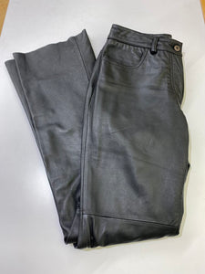 Danier leather pants 2