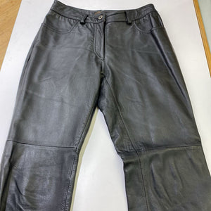 Danier leather pants 2
