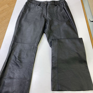 Danier leather pants 2