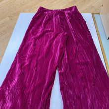 Load image into Gallery viewer, Nasty Gal crushed velvet pants 2
