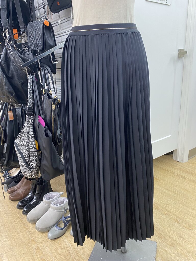 Aerie pleated maxi skirt NWT S