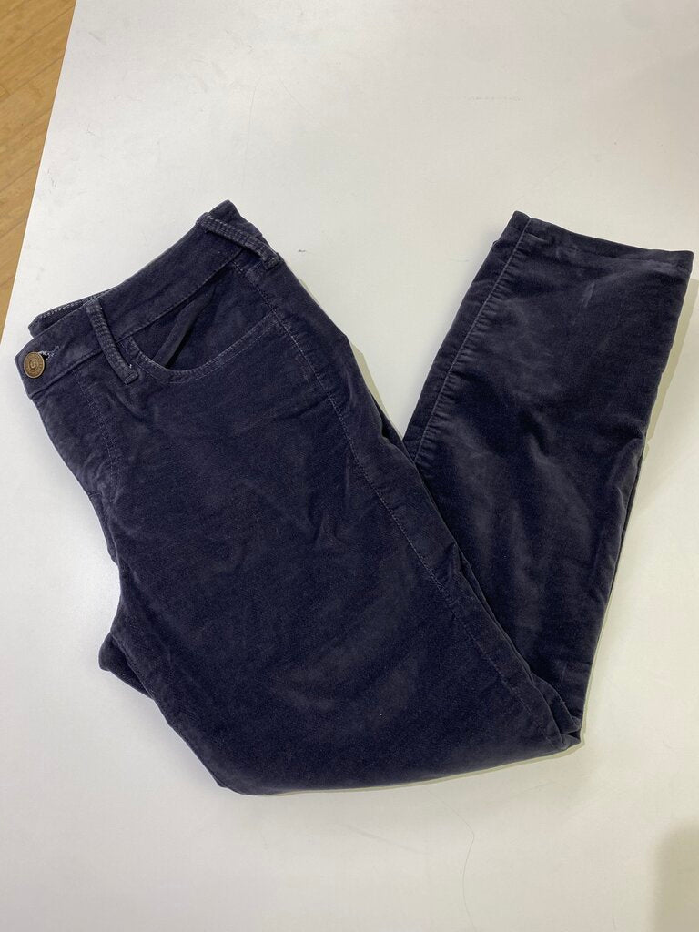 True Religion velvet pants 30