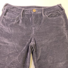 Load image into Gallery viewer, True Religion velvet pants 30
