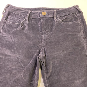 True Religion velvet pants 30