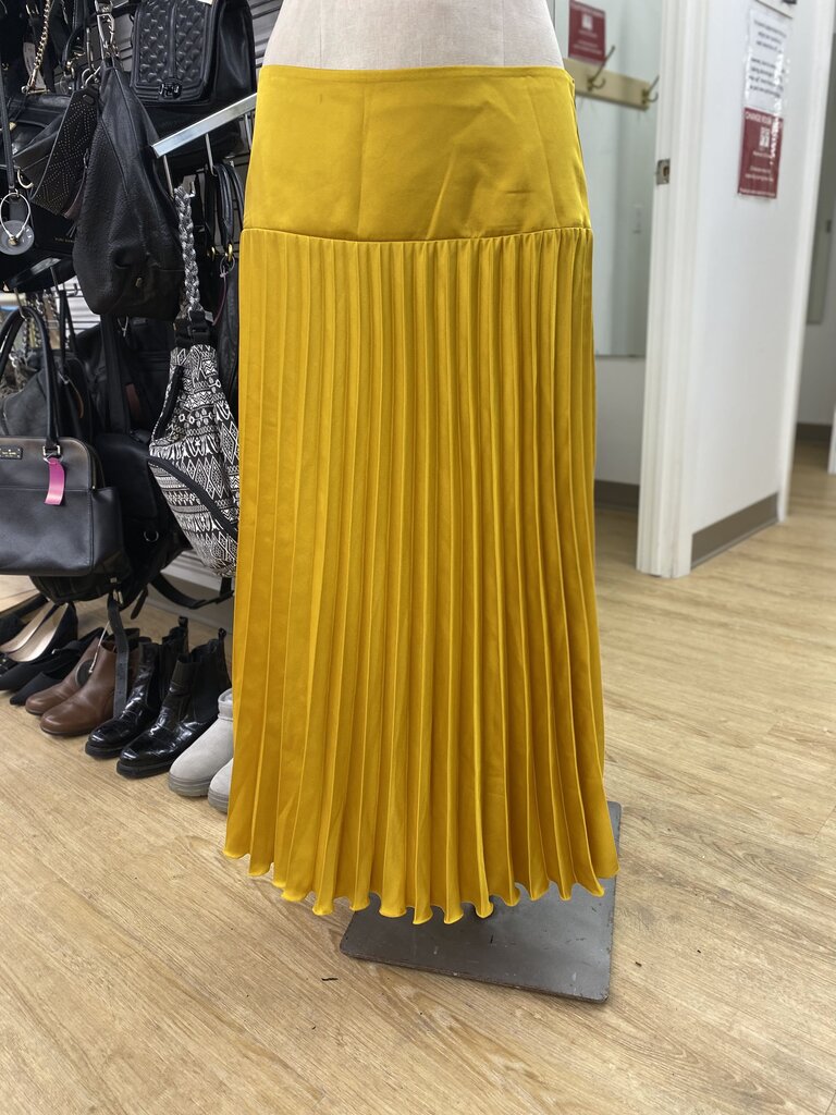 Banana Republic pleated skirt 8 NWT